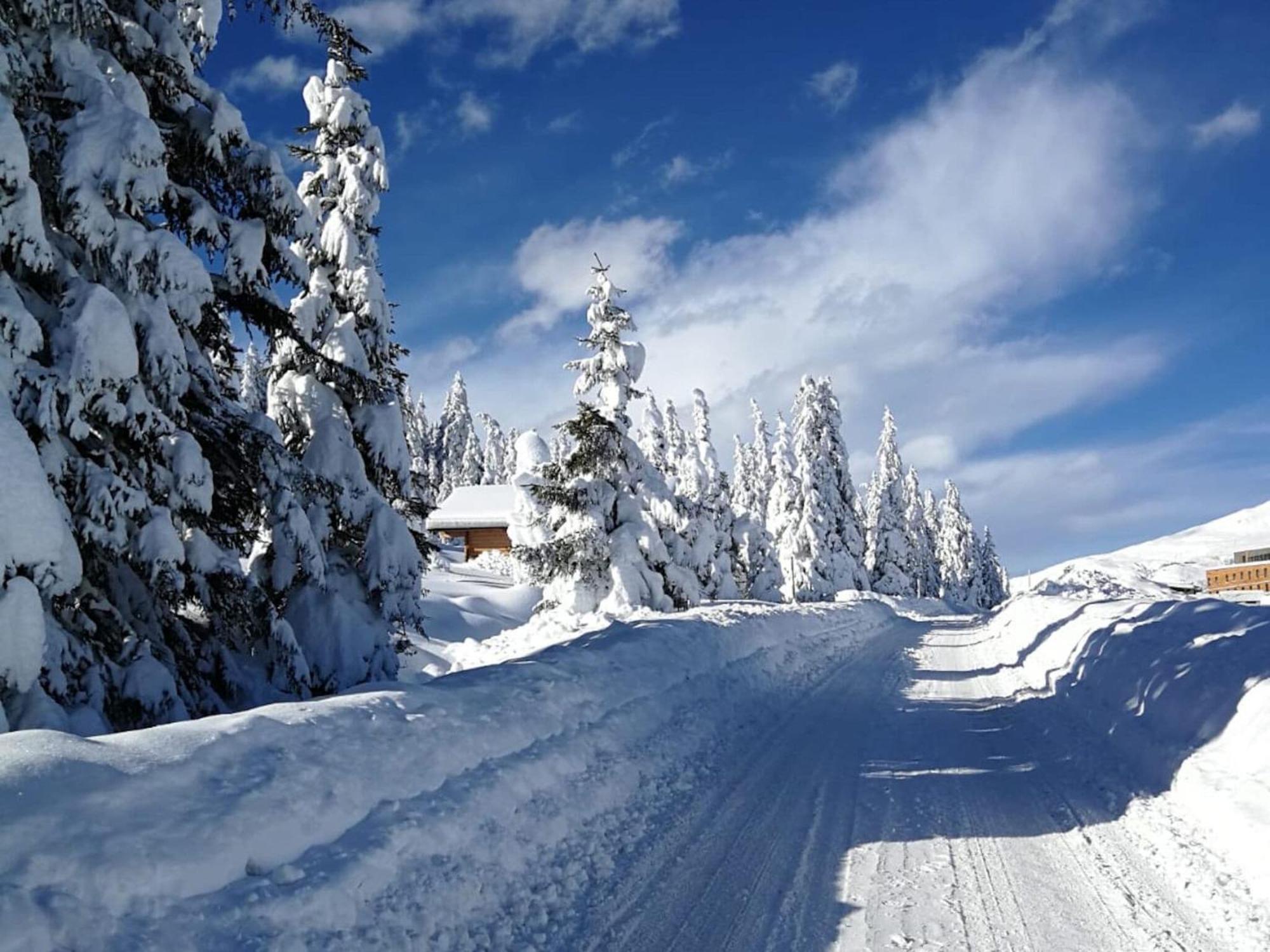 Flat South Of Kitzb Hel With Nationalparkcard Appartement Hollersbach im Pinzgau Buitenkant foto